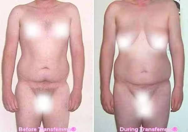 Bovine Ovary MTF Before and After