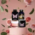 all to go bundle by transfemme
